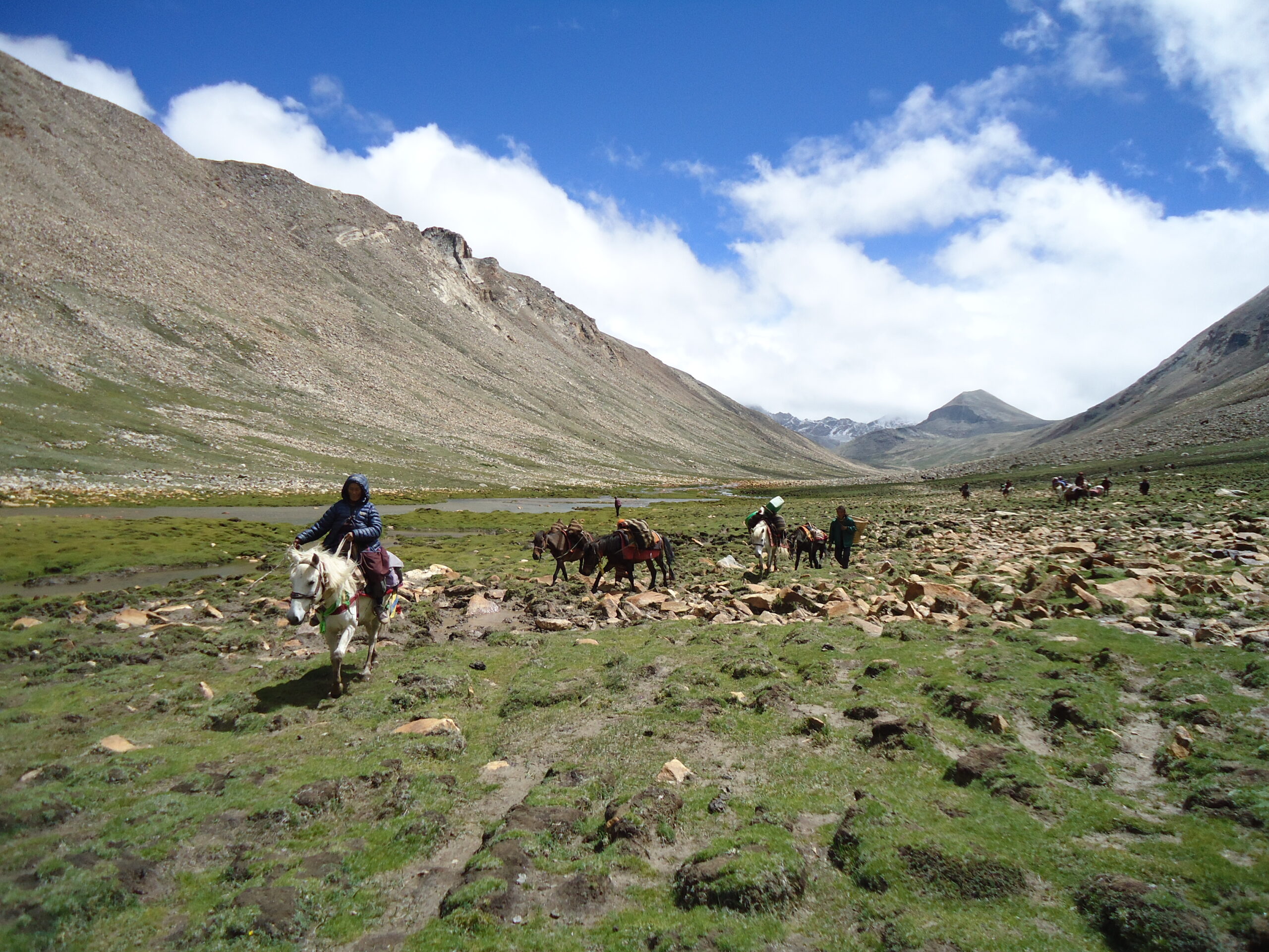 Dolpa
