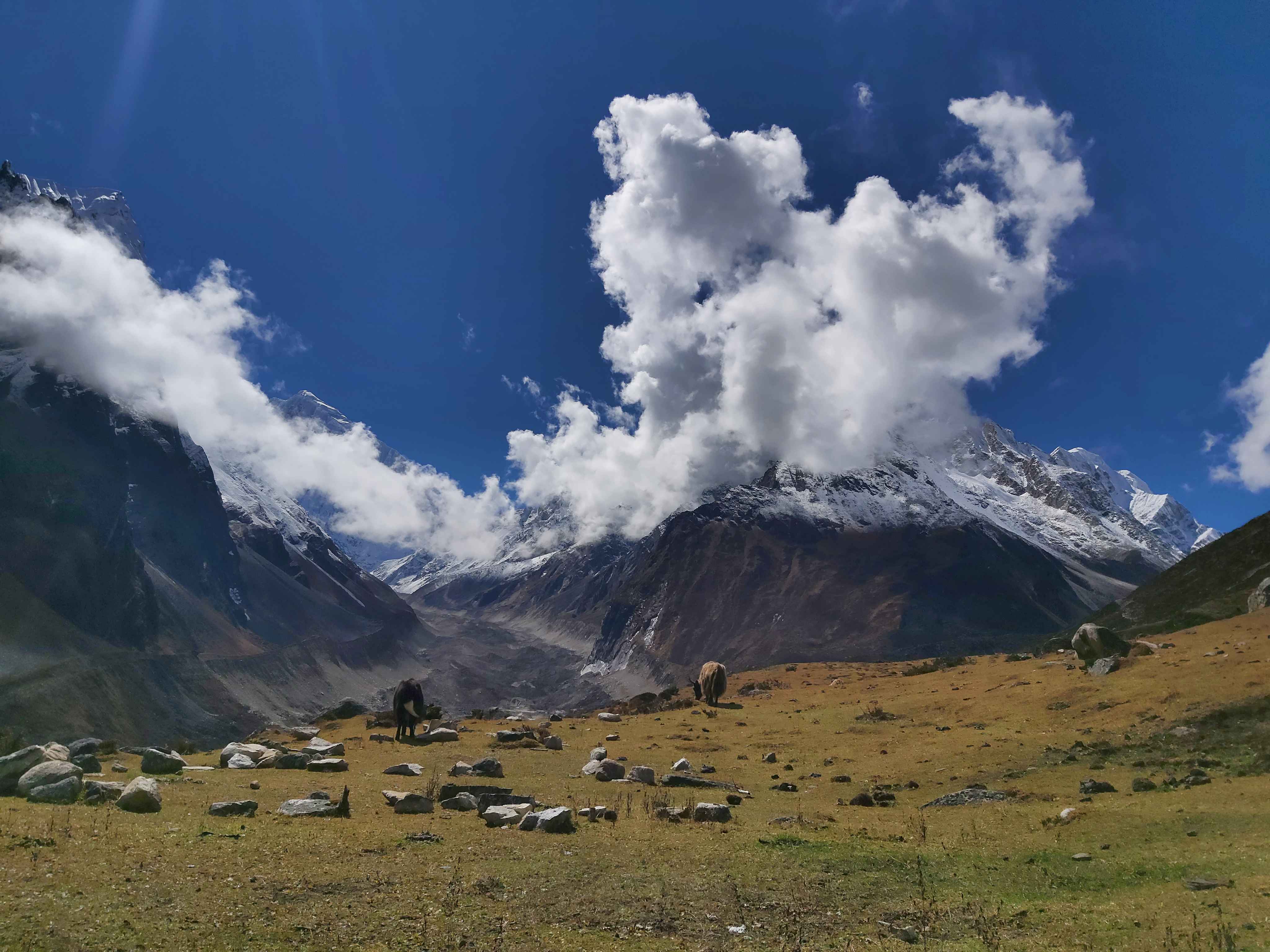 Best Time to Trek in Nepal: A Complete Seasonal Guide